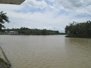 Empat Kelurahan Langganan Puting Beliung