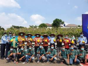 Walapun Dibalik Jeruji Besi Warga Binaan Lapas Cilegon Panen Golden Melon Hasil Rawatannya