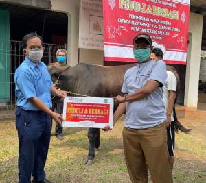 IKPP Tangerang Bagikan Puluhan Hewan Kurban