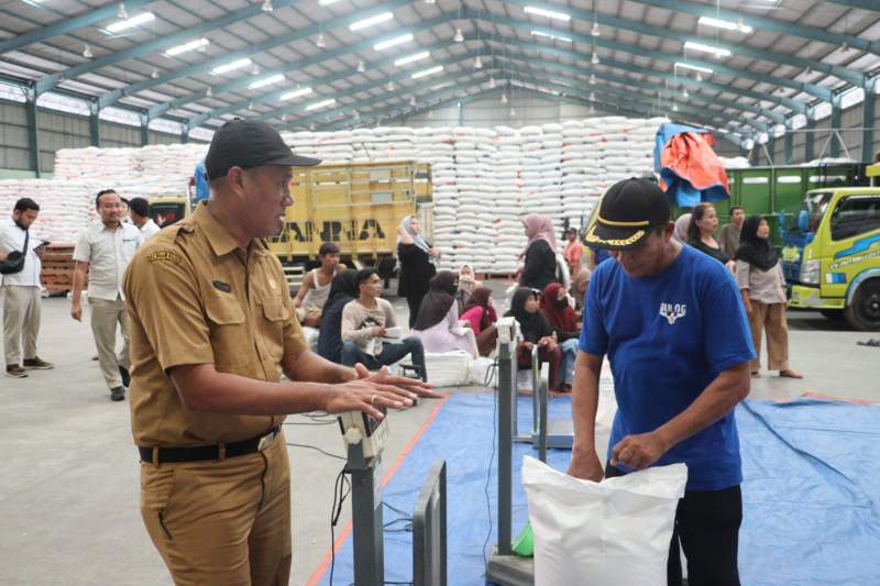 DPKP Lakukan Pemeriksaan Mutu Beras Bantuan