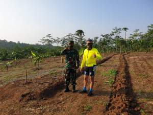 Danrem 064/MY Survey Deplot Ketahanan Pangan di Serang