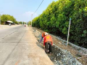 Proyek Pelebaran Jalan Menuju Wisata Religi Pulo Cangkir Kronjo Mulai Dikerjakan