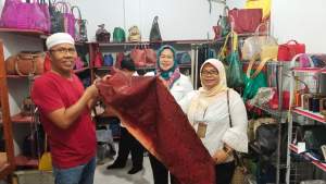 58.113 Pelaku Usaha Mikro Kecil Menengah Daftar Bantuan Bantuan Presiden