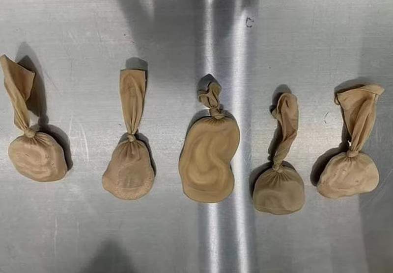 Wanita Ini Ditangkap Bea Cukai Selundupkan 5 Ekor Ular dalam Bra