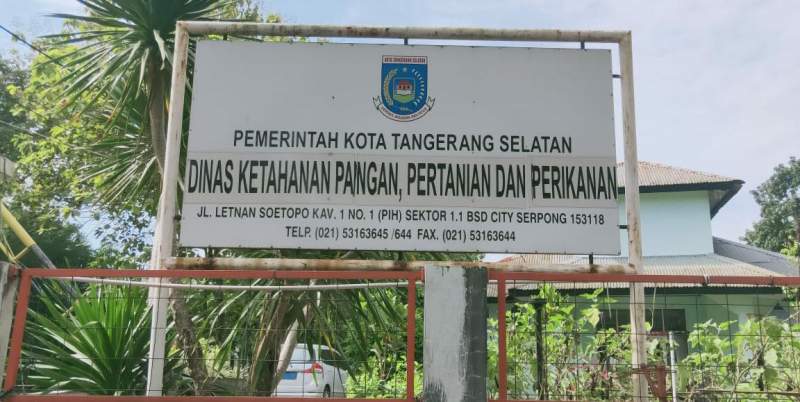 Stok 100 Ton, DKPPP Tangsel: Beras CBP Dikeluarkan Saat Terjadi Bencana