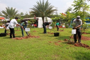 Sambut Hari Jadi ke 27, MMS Tanam 1.000 Pohon
