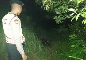 Mayat Wanita Tanpa Busana di Cipocok