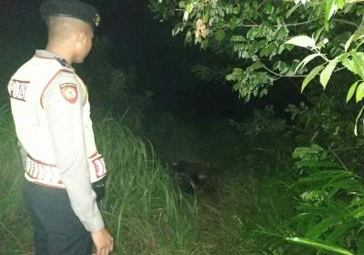 Mayat Wanita Tanpa Busana di Cipocok