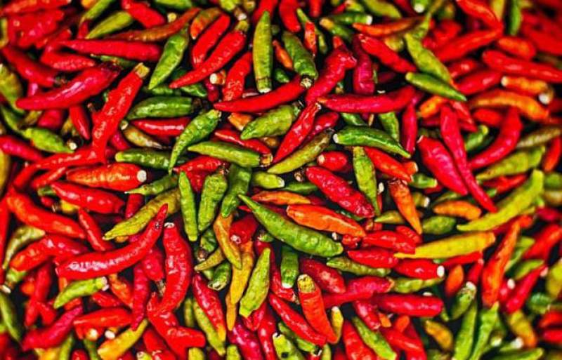 Bikin Geger, Ratusan Kilogram Cabai Dibuang ke Selokan