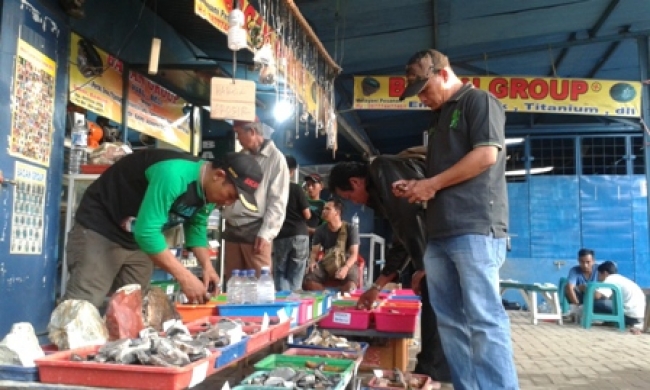 Ramainya penggemar batu cincin yang datang ke Bacan Group bertempat di Kemang, Kota Serang, Banten.