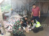 Polsek Panggarangan Gerebek Pabrik Obat Herbal Ilegal