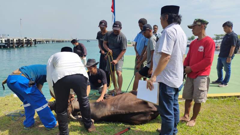 KBMB saat melaksanakan penyembelihan hewan kurban di Mako Polairud Banten, Senin (11/7/2022).
