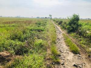 Tak Kunjung Dibangun Jalan Poros Desa Rusak Parah, Begini Kata Kades Gunung Sari