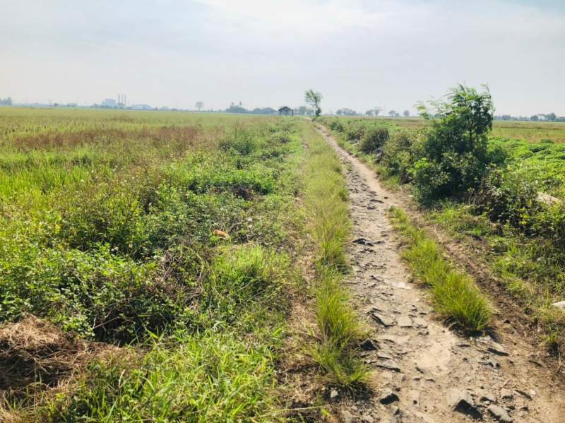 Tak Kunjung Dibangun Jalan Poros Desa Rusak Parah, Begini Kata Kades Gunung Sari
