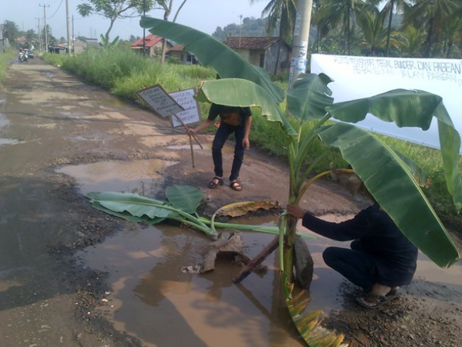 Kecewa Jalan Rusak, Warga Tegal Bunder Tanam Pohon Pisang