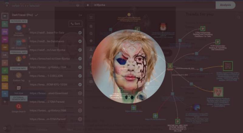Akun Hacker Bjorka Kembali Muncul di Twitter Setelah Ditangguhkan