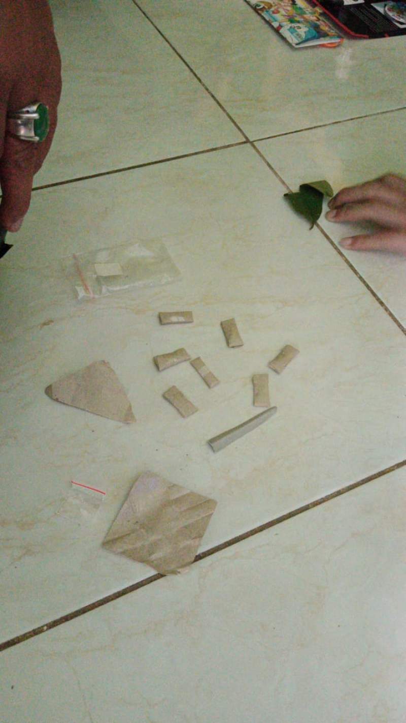 Pengedar Sabu Ditangkap Polisi, 8 Paket Sabu Disembunyikan di Bawah Aquarium