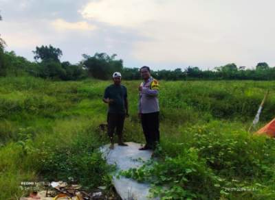 Cek Tanaman Jagung Bripka Sandi Polsek Pasar Kemis Perhatikan Kondisi Lahan