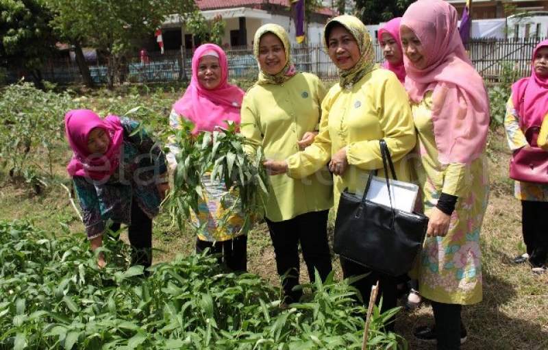 PKK Kabupaten Tangerang Bina Wilayah di Kronjo