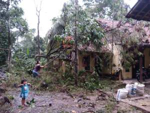 Angin Puting Beliung Hantam Ratusan Rumah di Maja