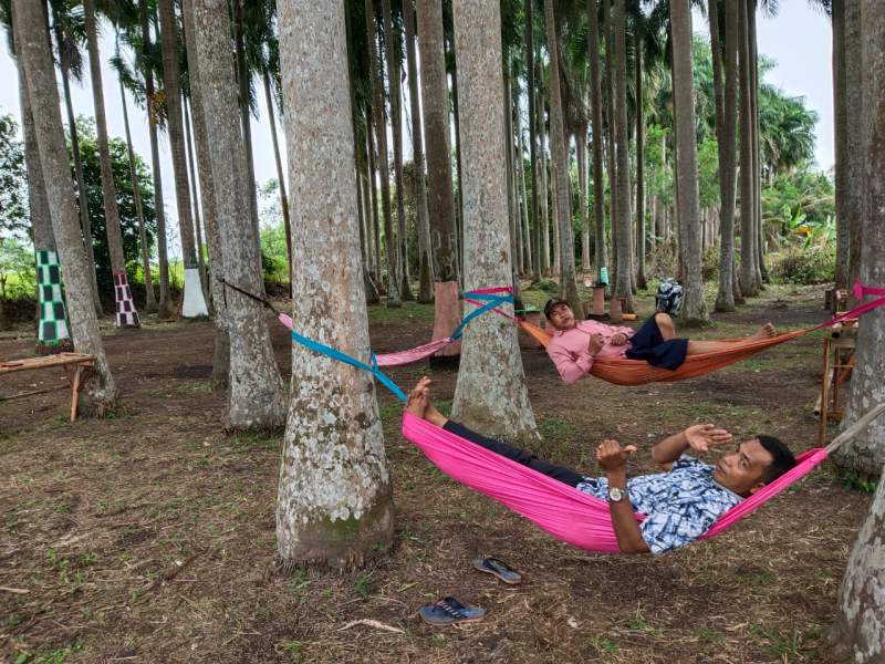 Viral, Wisata Palem di Desa Bunar Mendadak Ramai Dikunjungi Warga