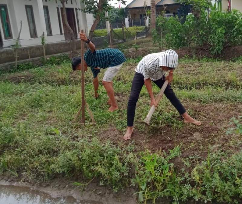 Anak Funk di Sepatan Timur Belajar Bertani