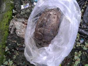 Granat Nanas yang ditemukan warga.