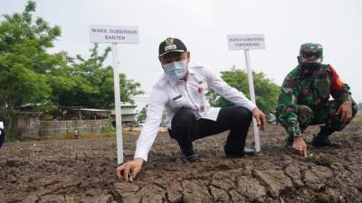 Mad Romli Hadiri Gerakan Tanam Serentak di Teluknaga