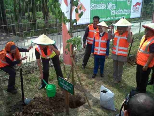 Peringati Hari Lingkungan Hidup Sedunia, PT. MMS Tanami 2.650 Pohon