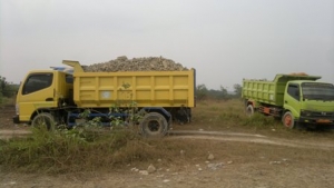 tampak aktifitas truk-truk mengangkut galian tpe C di lokasi
