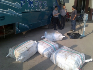 Petugas Berhasil Gagalkan Peredaran Daging Celeng Ilegal