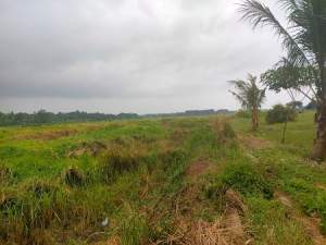 Petani di Desa Bunar Menjerit, Poktan Yang Mati Suri Diminta Diganti