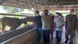 Kapolda Kepulauan Babel Irjenpol Yan Sultra saat lakukan Sidak peternakan sapi di Desa Air Anyir, Kabupaten Bangka.