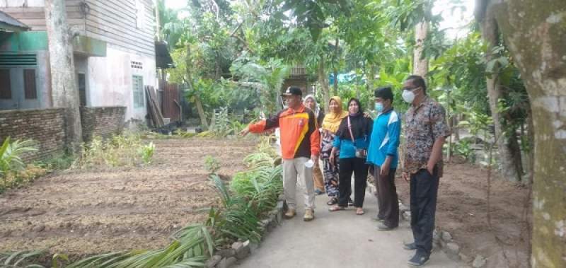 Plt Walikota Tanjungbalai Tinjau Kebun Tanaman, Dikelola PKK Kecamatan Tanjungbalai Selatan