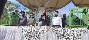 Lantaran Peliharaan Lutung, Pemilik Rumah Makan di Cilegon Terancam Bui