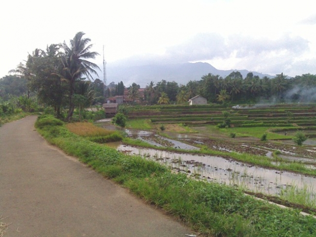 Pengembangan Kawasan Agrowisata Di Citeureup Terhambat Klaim Lahan