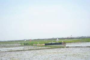 Lokasi pergudangan PT BLP yang izinnya disoal