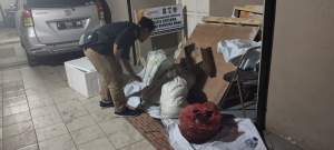 Tiga Orang Kena OTT Bawaslu, Hendak Bagikan Beras dan Ikan Bandeng