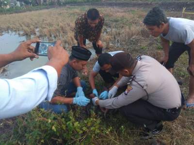  Penemuan tengkorak manusia 