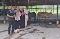 Regal Springs Indonesia (PT Aqua Farm Nusantara) menyerahkan hewan kurban bagi masyarakat Pantai Cermin.