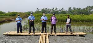 Selama Tiga Tahun IKPP Tangerang Tanam 100 Ribu Bibit Mangrove