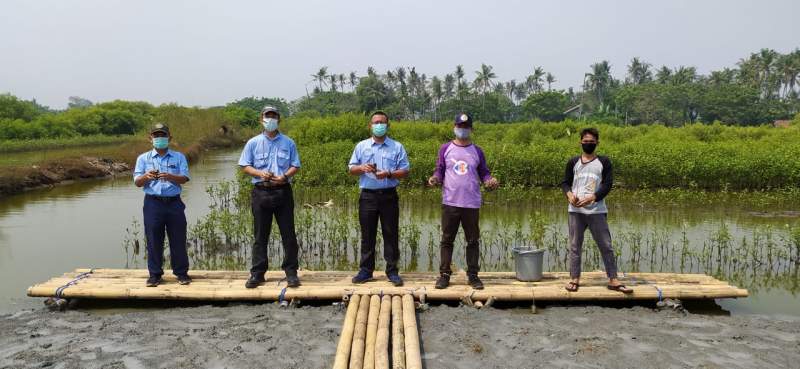 Selama Tiga Tahun IKPP Tangerang Tanam 100 Ribu Bibit Mangrove