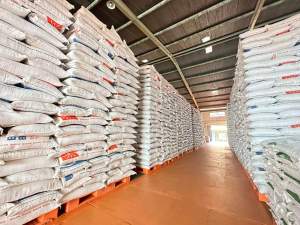 Ilustrasi beras Bulog.