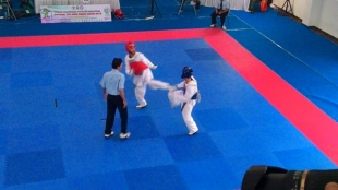 Gagal di Popnas, Dispora Harus Gelar Evaluasi