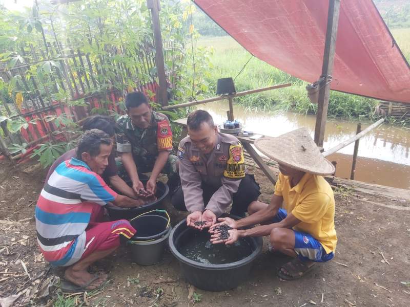 Beri Motivasi, Babinsa Panongan Dampingi Peternak Lele