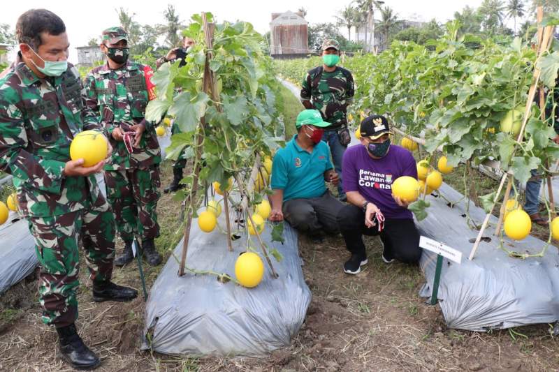 Zaki Panen Melon Di Teluknaga Bareng Pangdam Jaya
