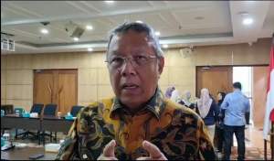 Wali Kota Tangsel Benyamin Davnie.