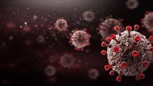 Kemenkes Sebut HMPV Sudah Masuk Indonesia, Sudah Menyebar Sejak 2001