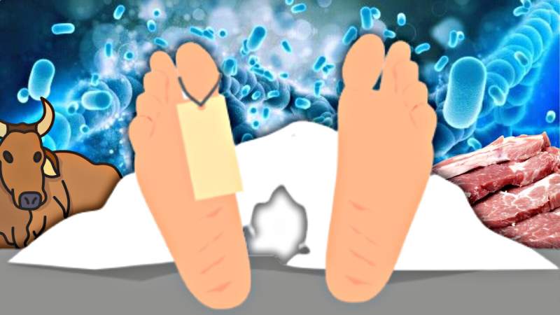 Positif Antraks, Warga Gunungkidul Meninggal Dunia (Foto: Nakita.ID - Grid.ID / Vecteezy) Ilustrasi : Sasa/db