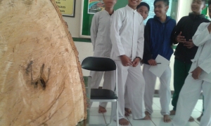 Pohon Berlafadz 'Allah' Ditemukan di Sekolah